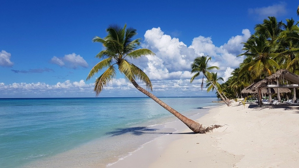 Playa Palmeras, República Dominicana, Pixabay